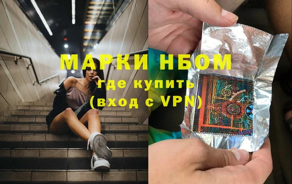 сатива Алексеевка
