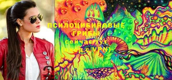 спиды Алзамай