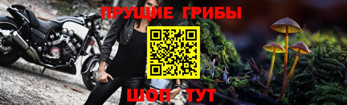 Камышин  Псилоцибиновые грибы GOLDEN TEACHER  Вход с VPN 